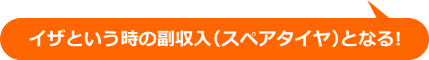 イザという時の副収入（スペアタイヤ）となる!