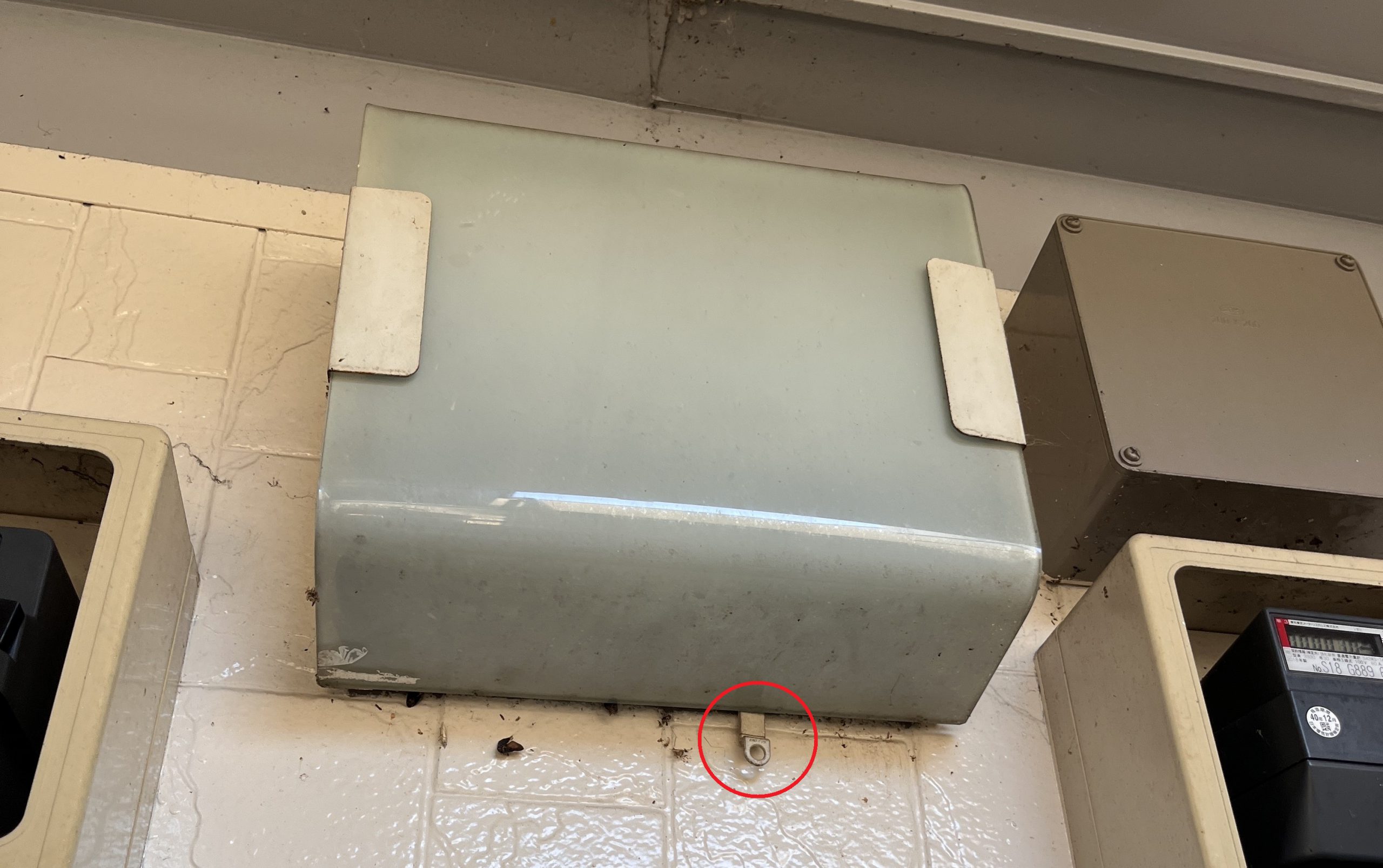 Image_20260112_221348_951