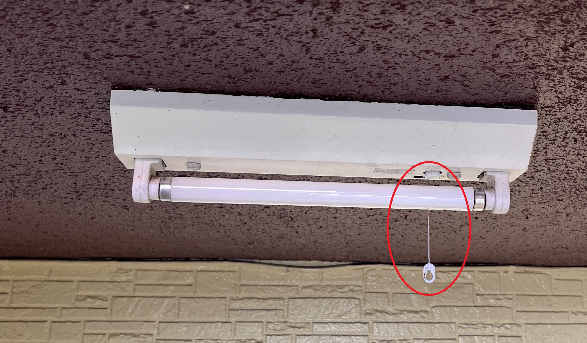 Image_20260112_221349_129