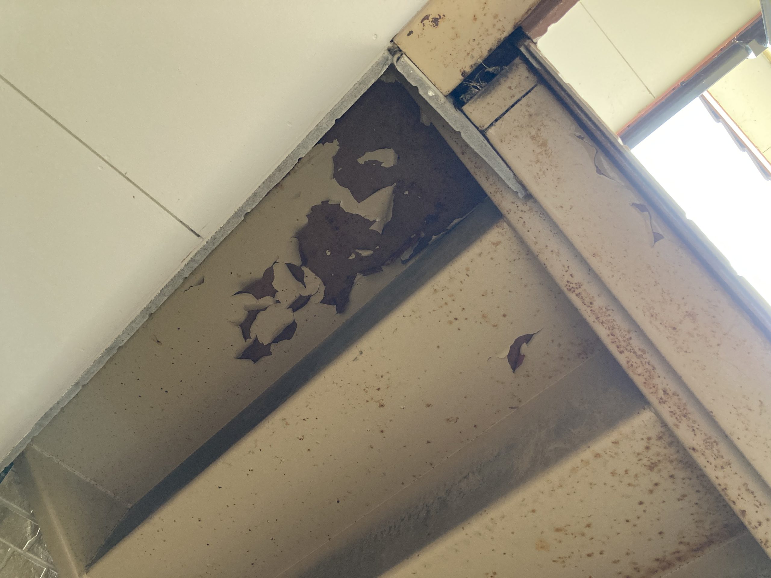 【築19年で実施した予防的大規模修繕で、満室継続と賃料アップを実現（群馬県前橋市）】 画像